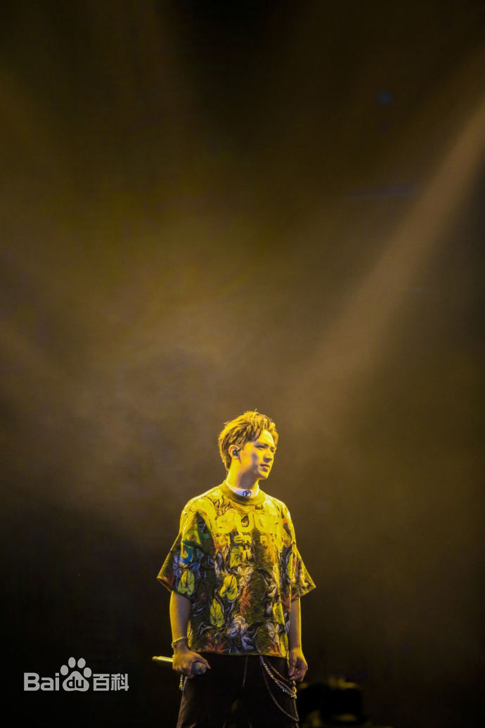 许魏洲(Timmy Xu、)2017Light亚洲巡演图片图册