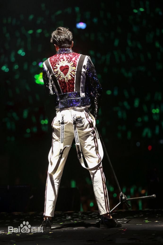 许魏洲(Timmy Xu、)2017Light亚洲巡演图片图册