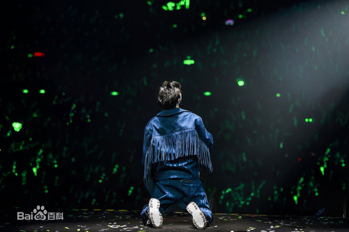 许魏洲(Timmy Xu、)2017Light亚洲巡演图片图册