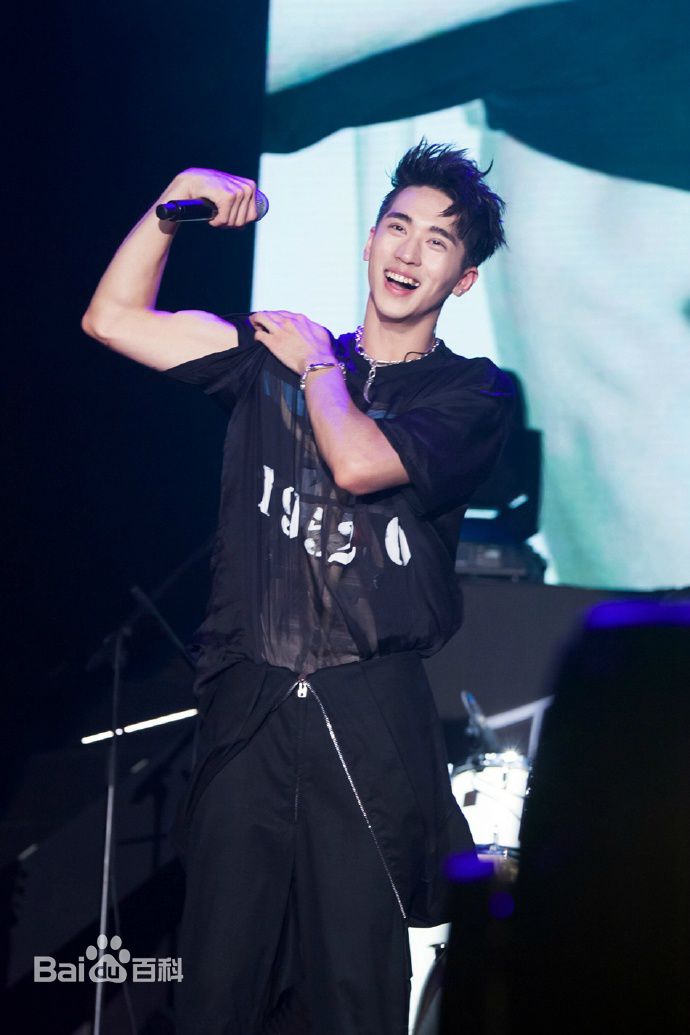 许魏洲(Timmy Xu、)2016Light亚洲巡演图册
