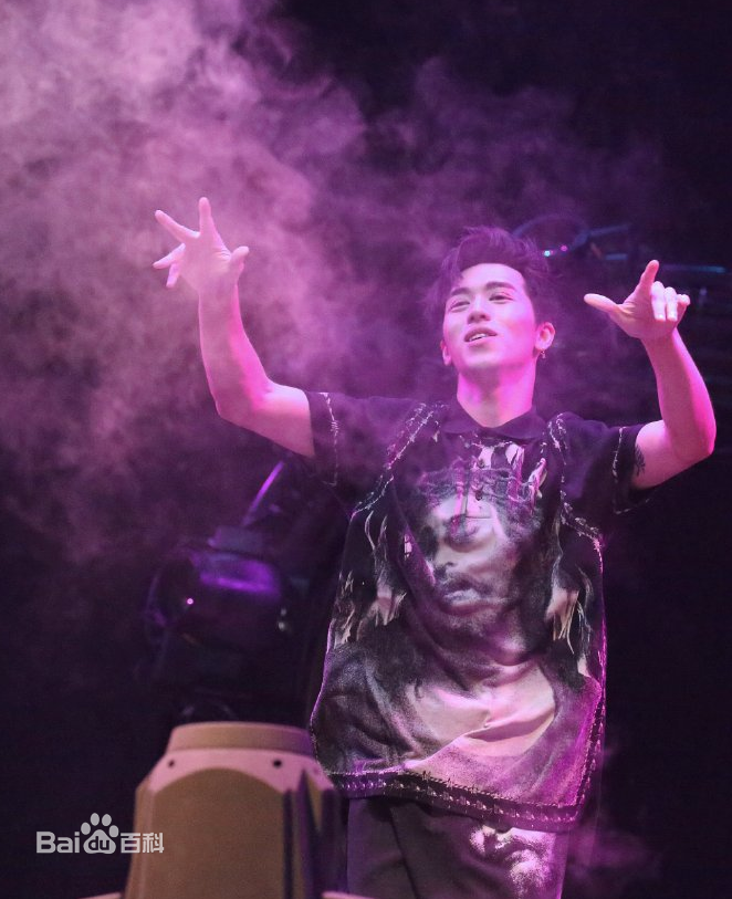 许魏洲(Timmy Xu、)2016Light亚洲巡演图册