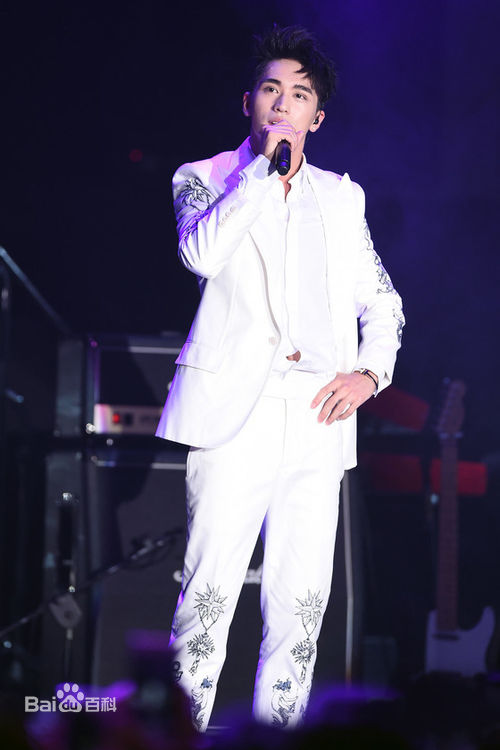 许魏洲(Timmy Xu、)2016Light亚洲巡演图册