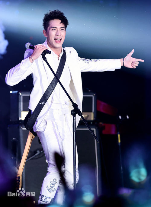 许魏洲(Timmy Xu、)2016Light亚洲巡演图册