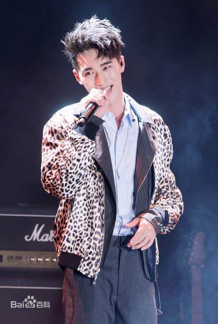 许魏洲(Timmy Xu、)2016Light亚洲巡演图册