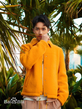 最优质许魏洲(Timmy Xu、)生活照