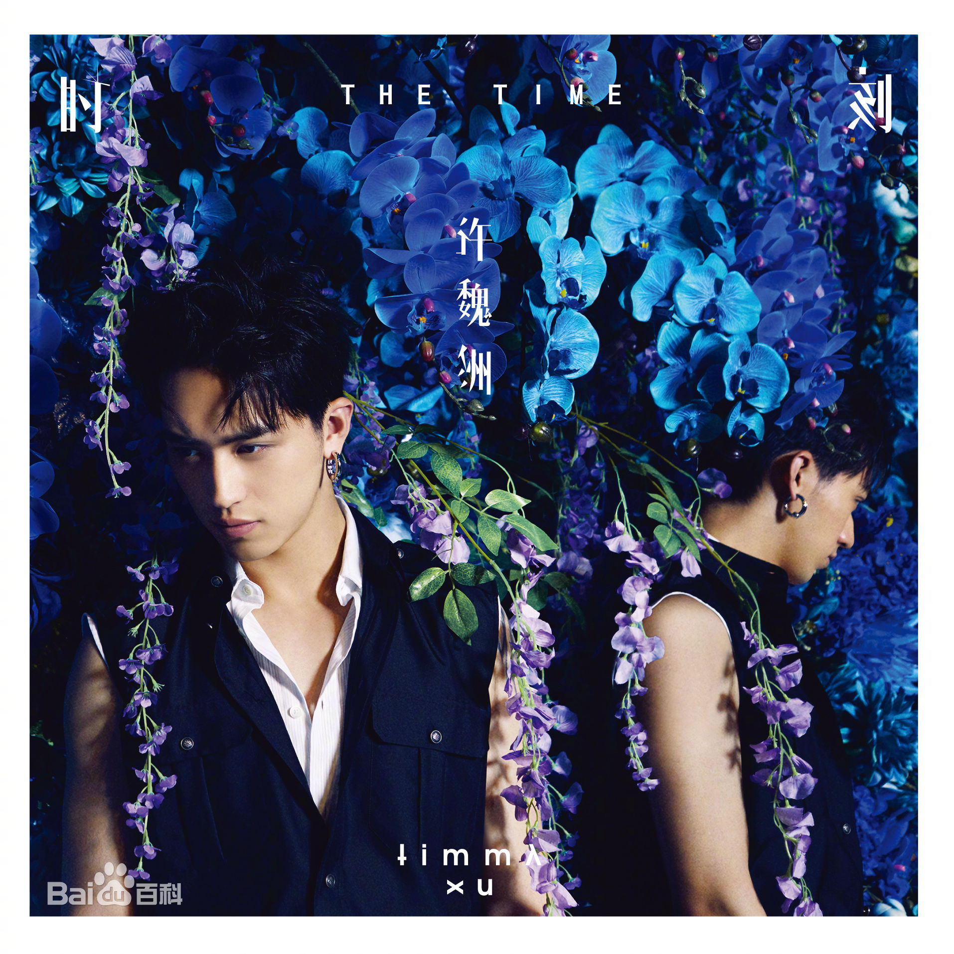 高清许魏洲(Timmy Xu、)图片