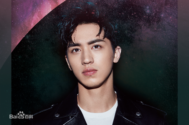 许魏洲(Timmy Xu、)概述图册前后照片