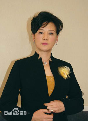 贾雨岚(jiayulan)概述图册生活照相册