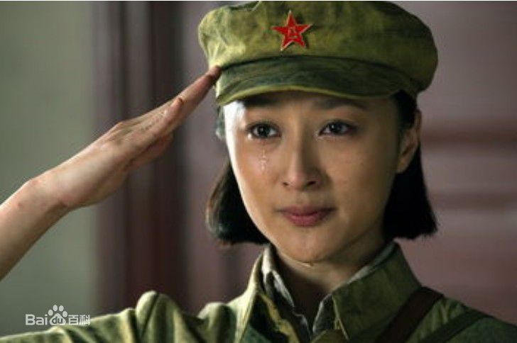 高清洪雁精彩图册