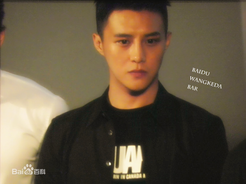 王宫良(Kid Young)记清跳水梦北京首映会壁纸壁纸