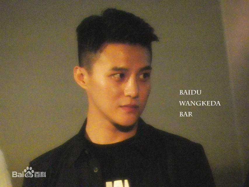 王宫良(Kid Young)记清跳水梦北京首映会壁纸壁纸