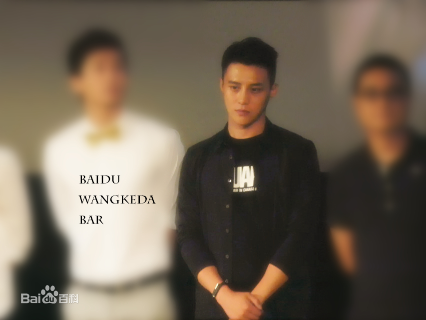 王宫良(Kid Young)记清跳水梦北京首映会壁纸壁纸