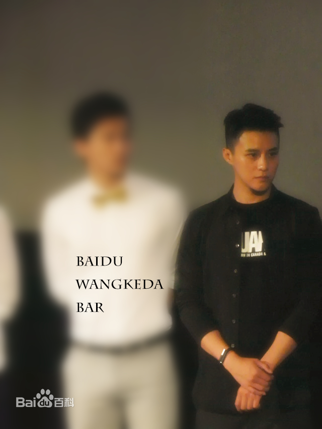 王宫良(Kid Young)记清跳水梦北京首映会壁纸壁纸