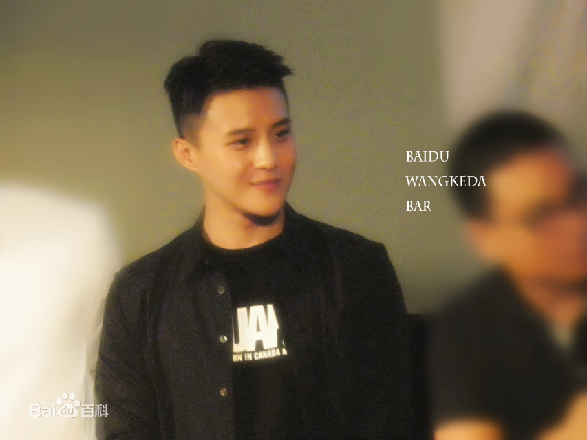 王宫良(Kid Young)记清跳水梦北京首映会壁纸壁纸