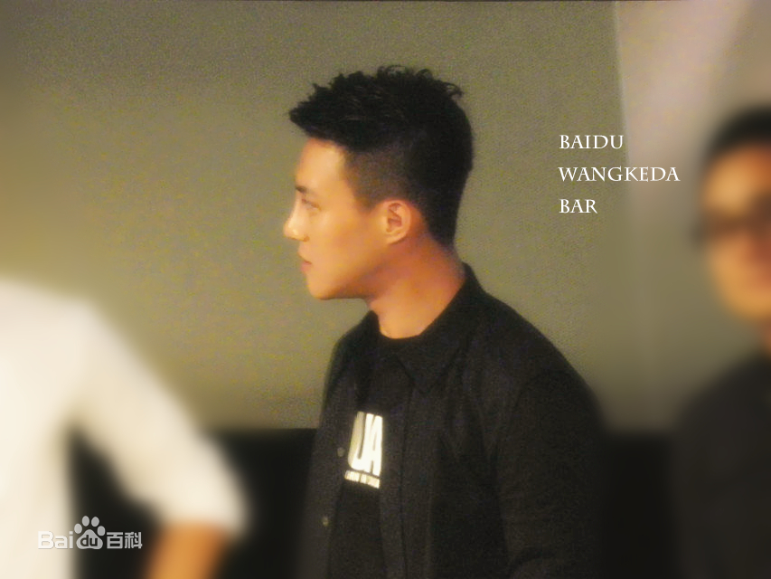 王宫良(Kid Young)记清跳水梦北京首映会壁纸壁纸