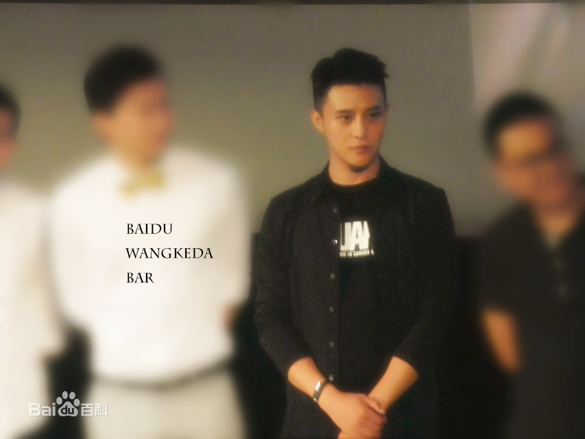 王宫良(Kid Young)记清跳水梦北京首映会壁纸壁纸