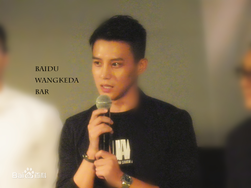 王宫良(Kid Young)记清跳水梦北京首映会壁纸壁纸