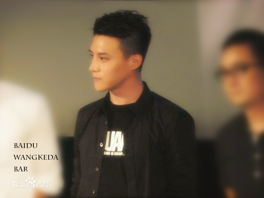 王宫良(Kid Young)记清跳水梦北京首映会壁纸壁纸