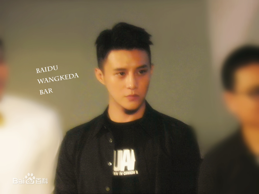 王宫良(Kid Young)记清跳水梦北京首映会壁纸壁纸