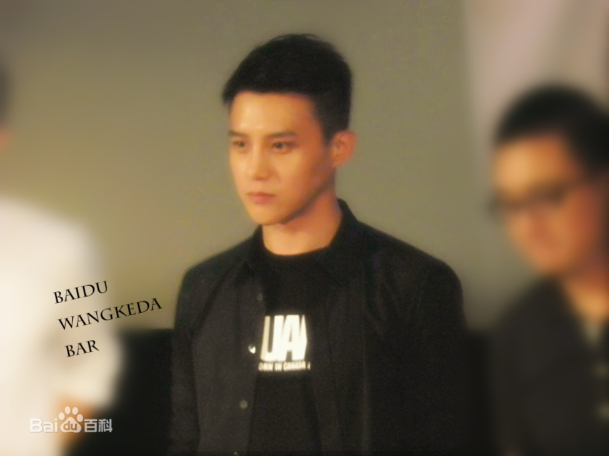 王宫良(Kid Young)记清跳水梦北京首映会壁纸壁纸