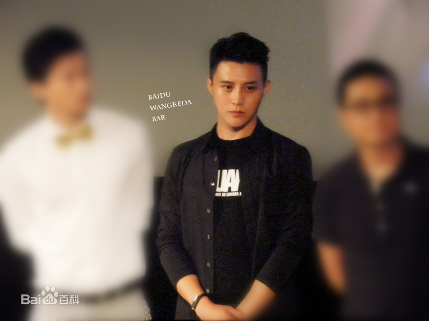 王宫良(Kid Young)记清跳水梦北京首映会壁纸壁纸