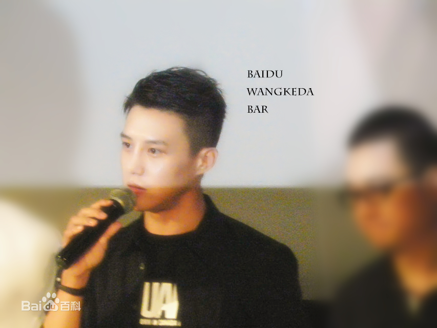 王宫良(Kid Young)记清跳水梦北京首映会壁纸壁纸