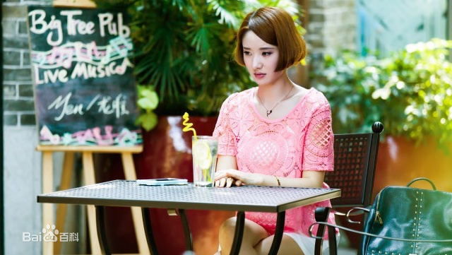 许芳铱我的岳父会武术图册