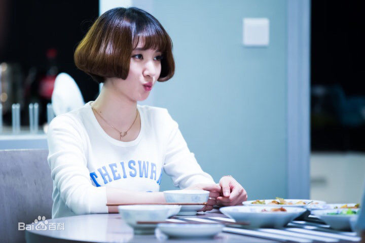 许芳铱我的岳父会武术图册