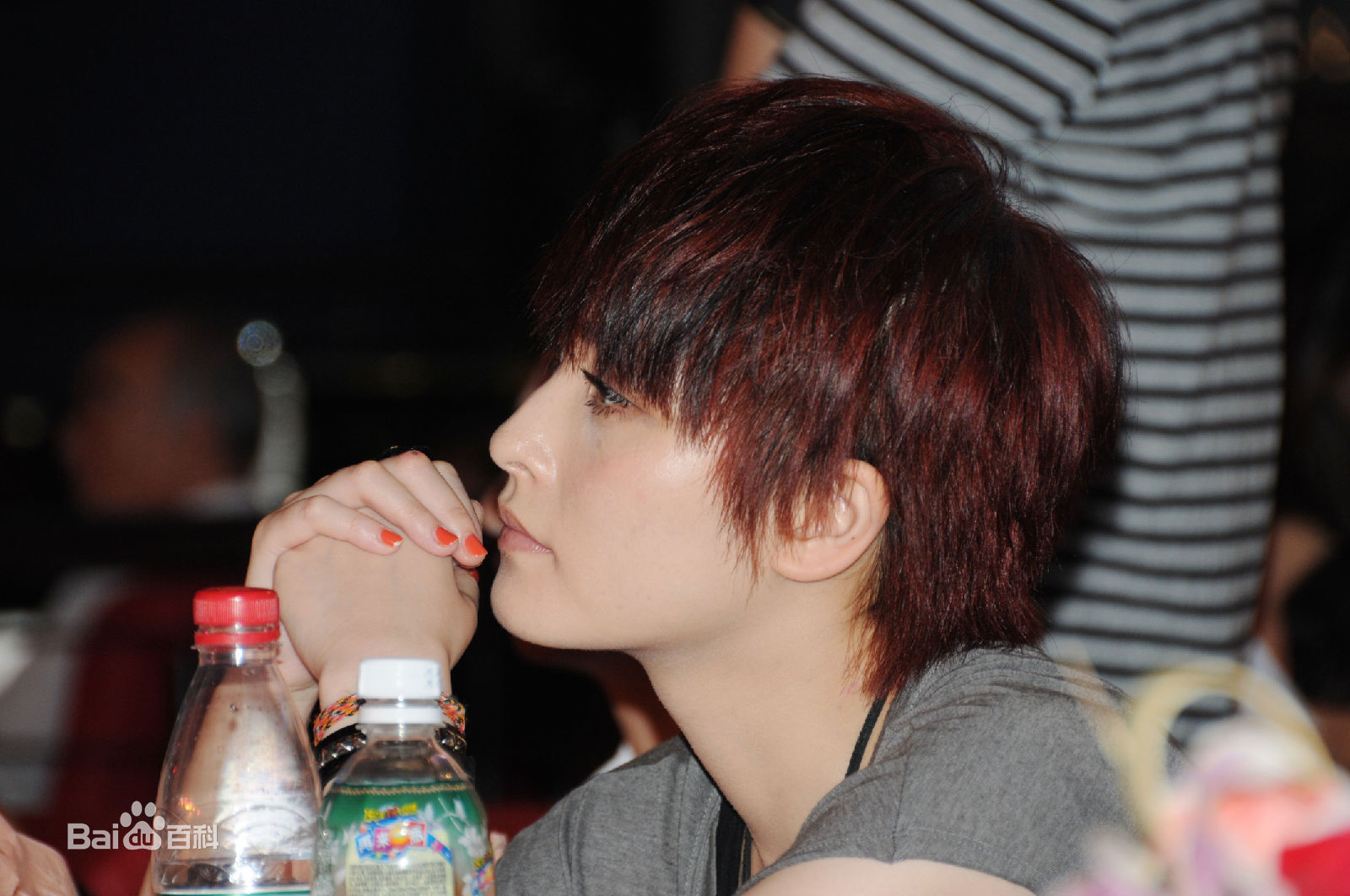 厉娜(Li Na)精彩图册