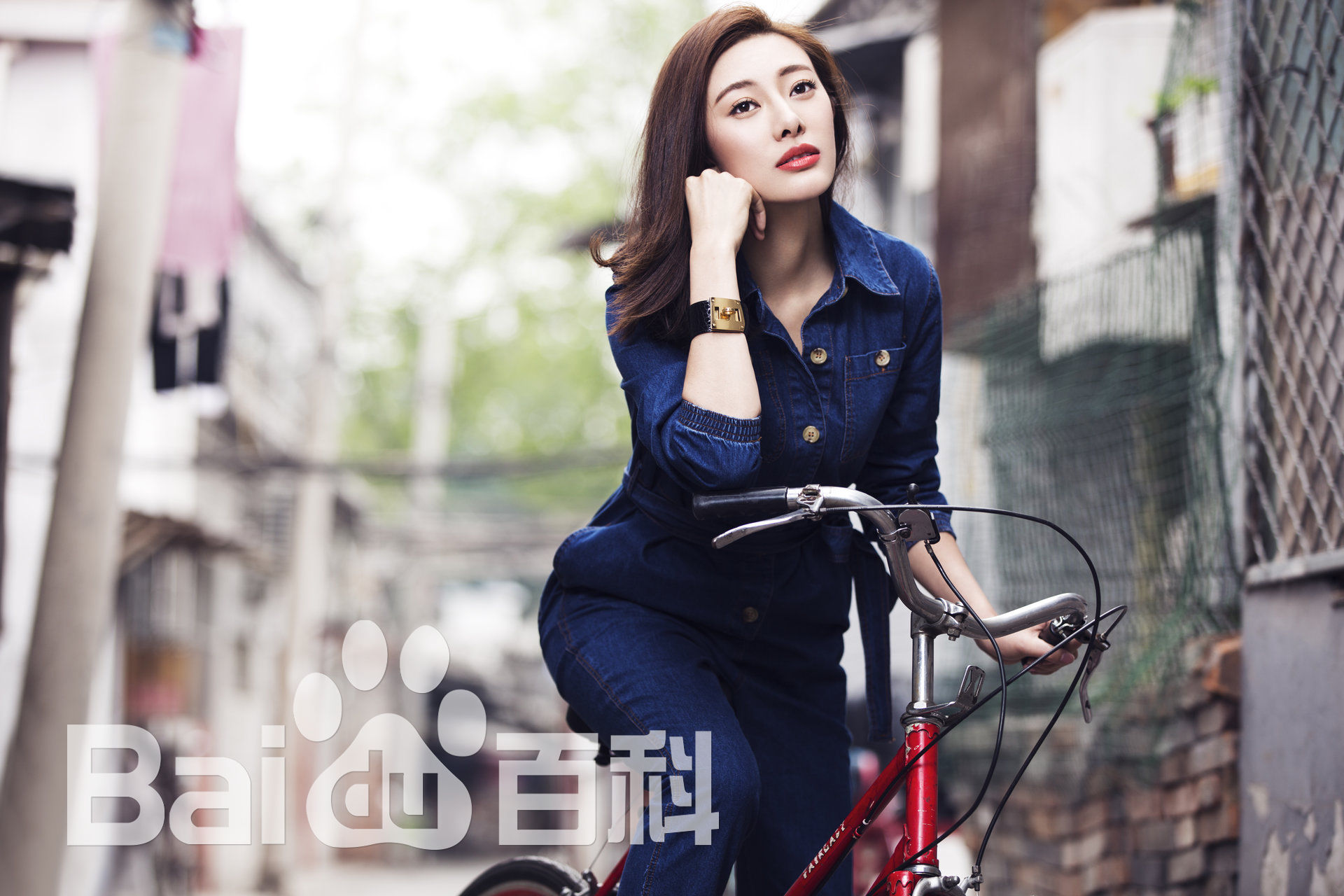 高清端木崇慧图片