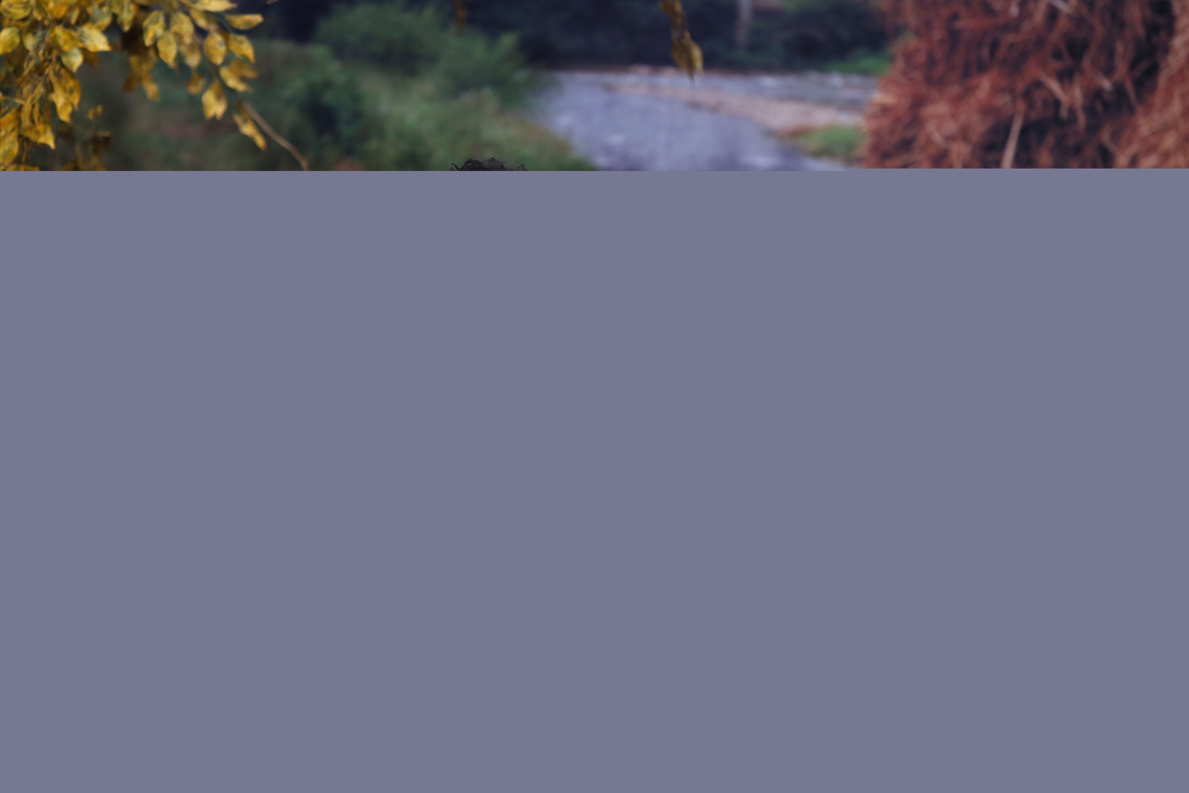 最优质钱波在录制中央电视台《谢天谢地你来啦》中的相册