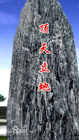 郑斌辉(Tay Ping Hui)前后照片