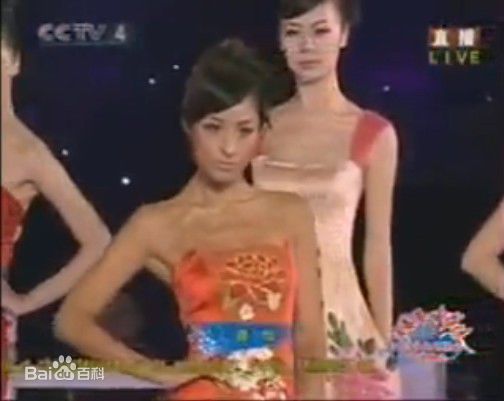 蒋怡(CoCo)中秋晚会瓷器服装秀性感图片图集