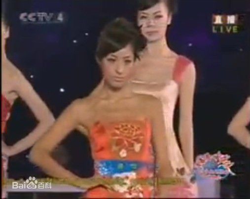 蒋怡(CoCo)中秋晚会瓷器服装秀性感图片图集