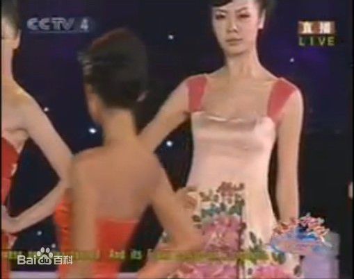 蒋怡(CoCo)中秋晚会瓷器服装秀性感图片图集