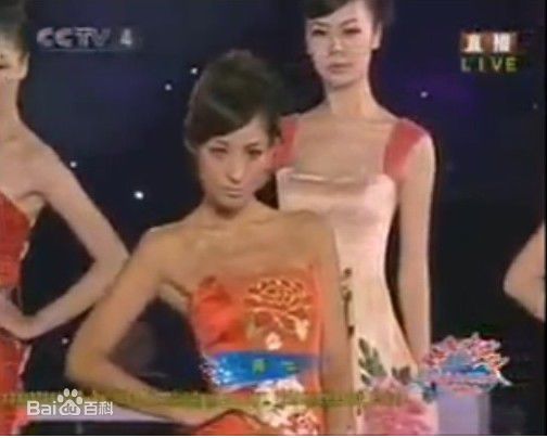 蒋怡(CoCo)中秋晚会瓷器服装秀性感图片图集