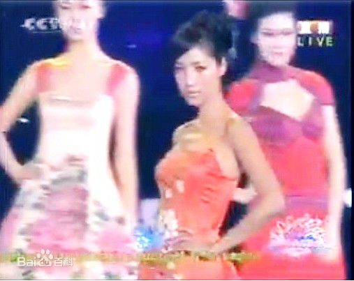蒋怡(CoCo)中秋晚会瓷器服装秀性感图片图集