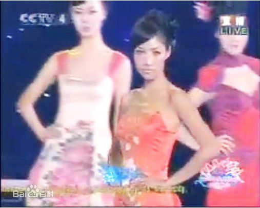蒋怡(CoCo)中秋晚会瓷器服装秀性感图片图集