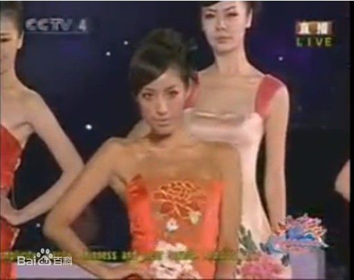 蒋怡(CoCo)中秋晚会瓷器服装秀性感图片图集