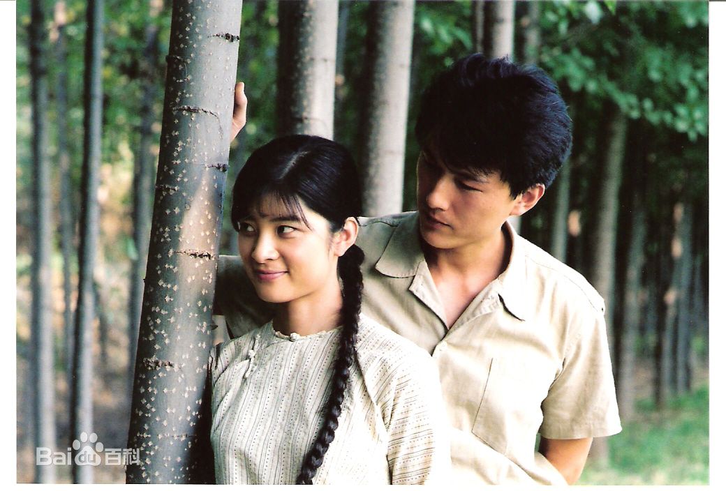 精选宋茶茶图片