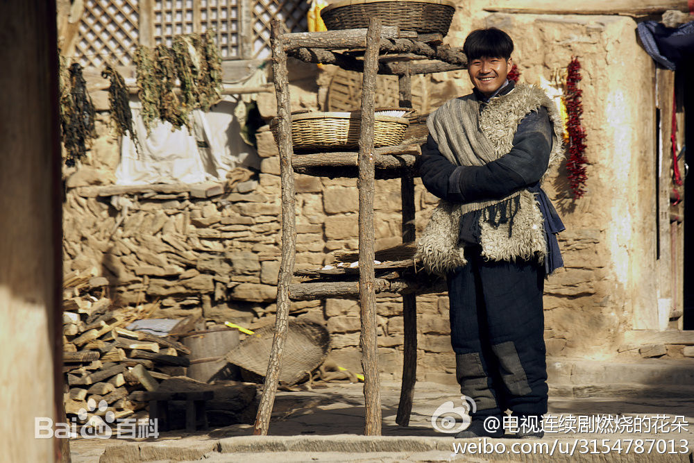 周翔影视最优质剧照