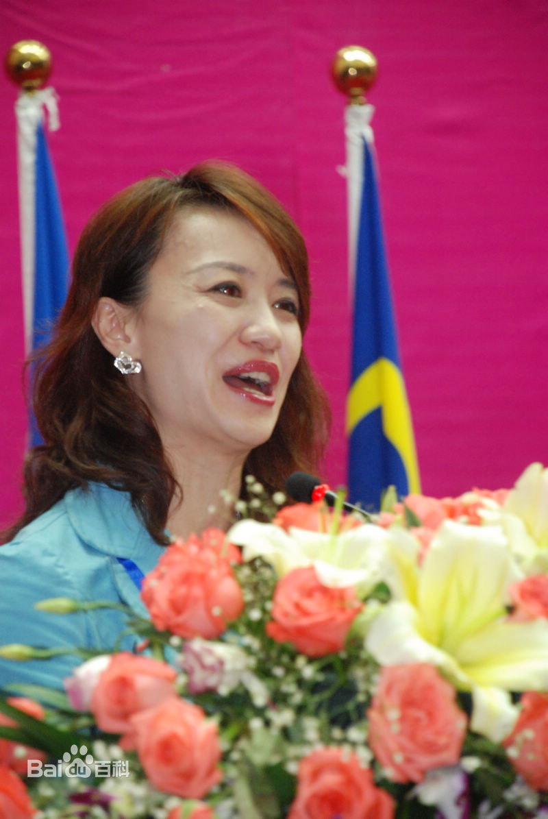 李菲出席活动照性感图片图集