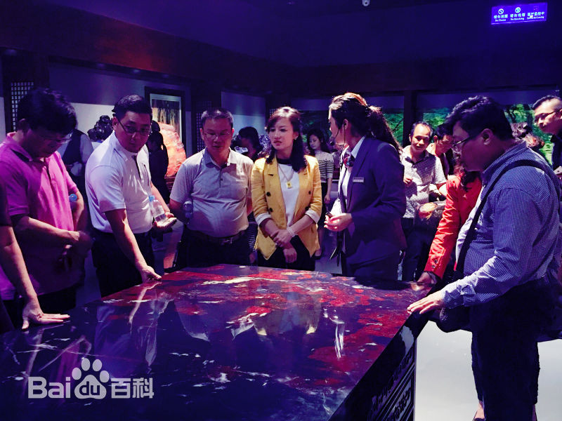 李菲行业活动素颜照壁纸