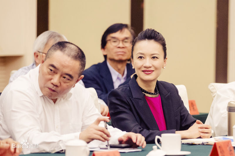 李菲行业活动素颜照壁纸