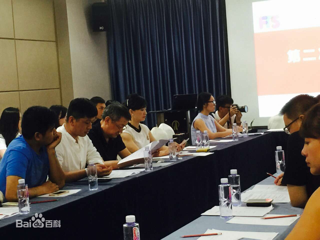 李菲行业活动素颜照壁纸