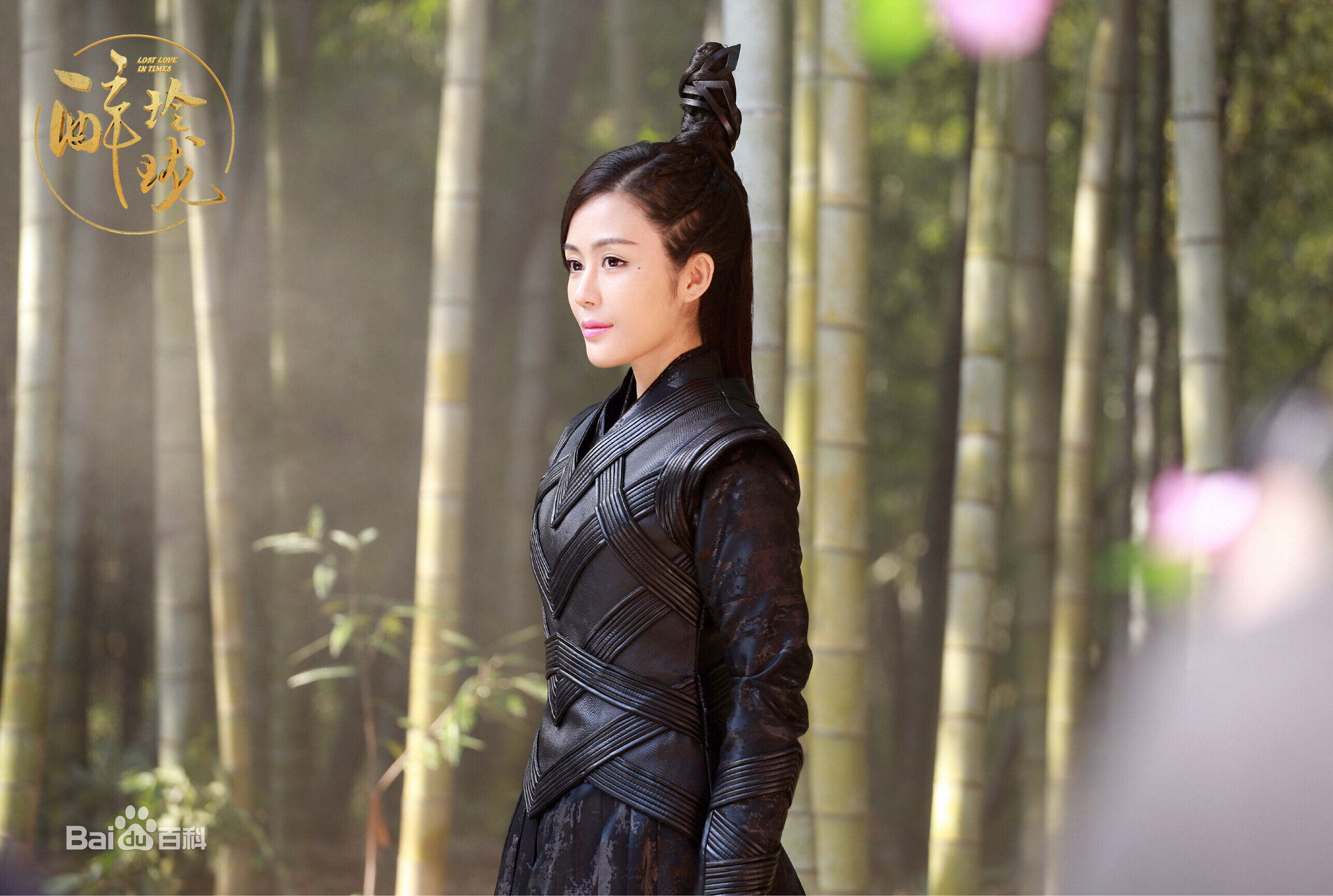 最全汤晶媚(Tang Jing Mei)在《青云志》 饰狐仙三尾中的壁纸