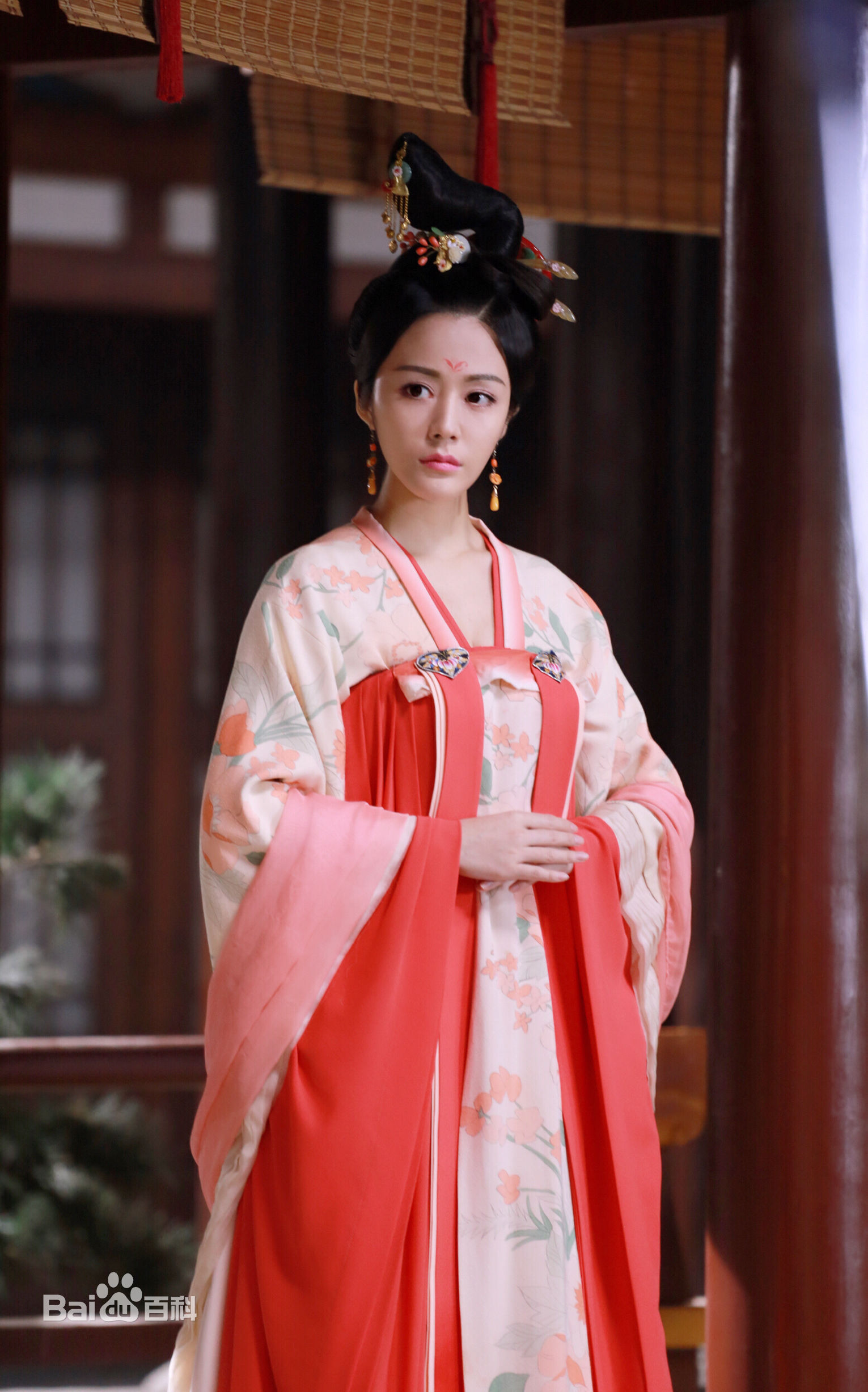 最全汤晶媚(Tang Jing Mei)在《少帅》 饰谷瑞玉中的壁纸