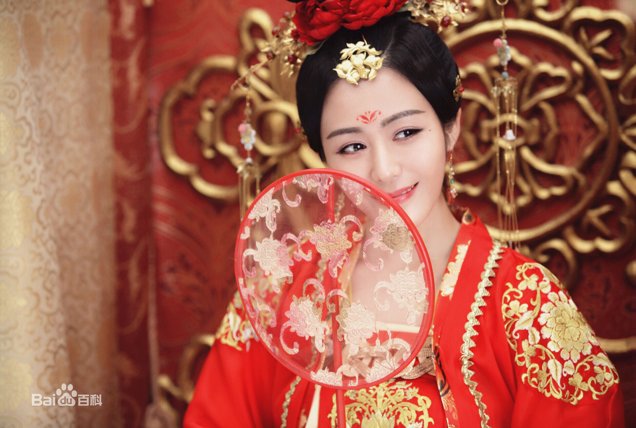 最全汤晶媚(Tang Jing Mei)在《少帅》 饰谷瑞玉中的壁纸