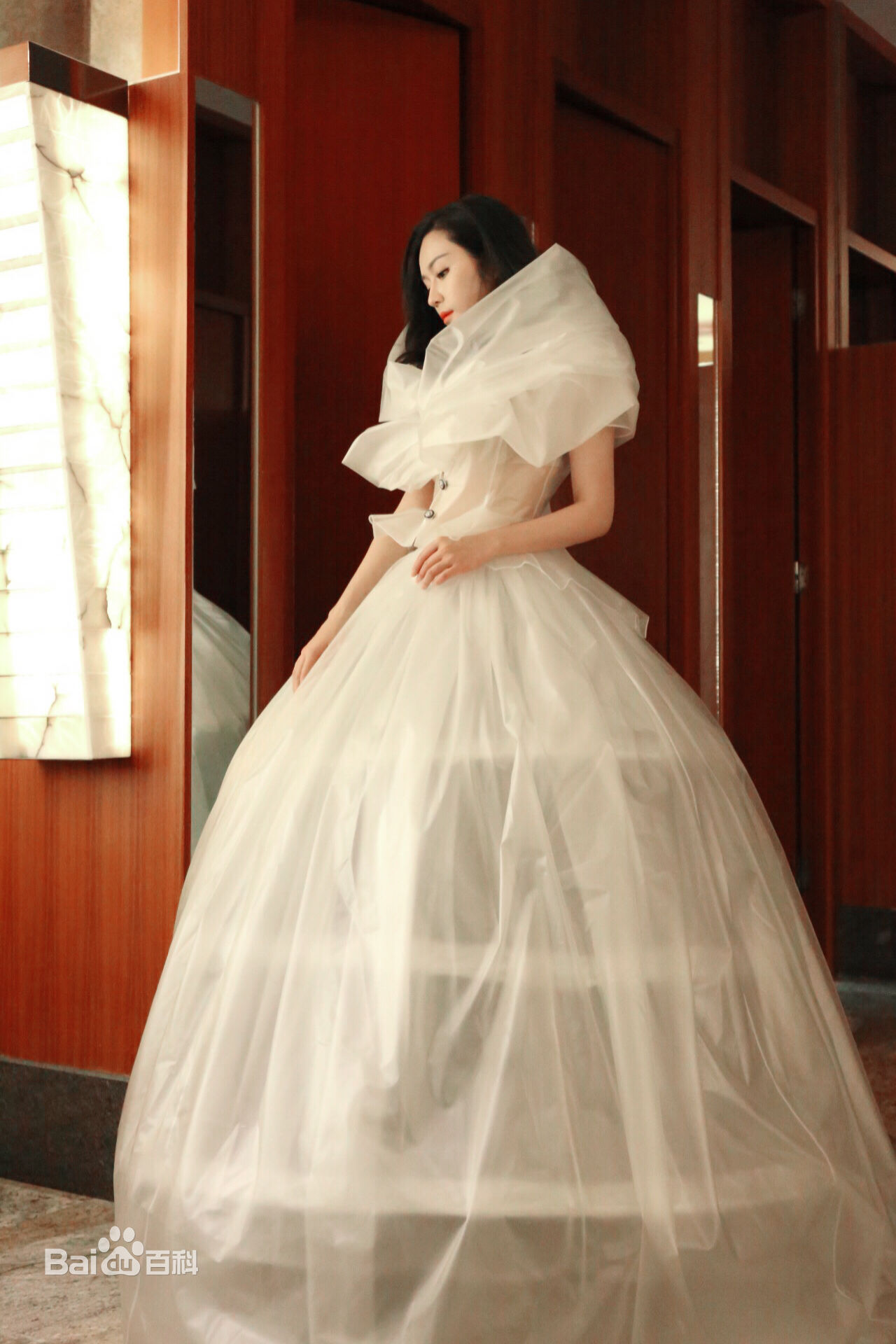 汤晶媚(Tang Jing Mei)上海电视节壁纸壁纸