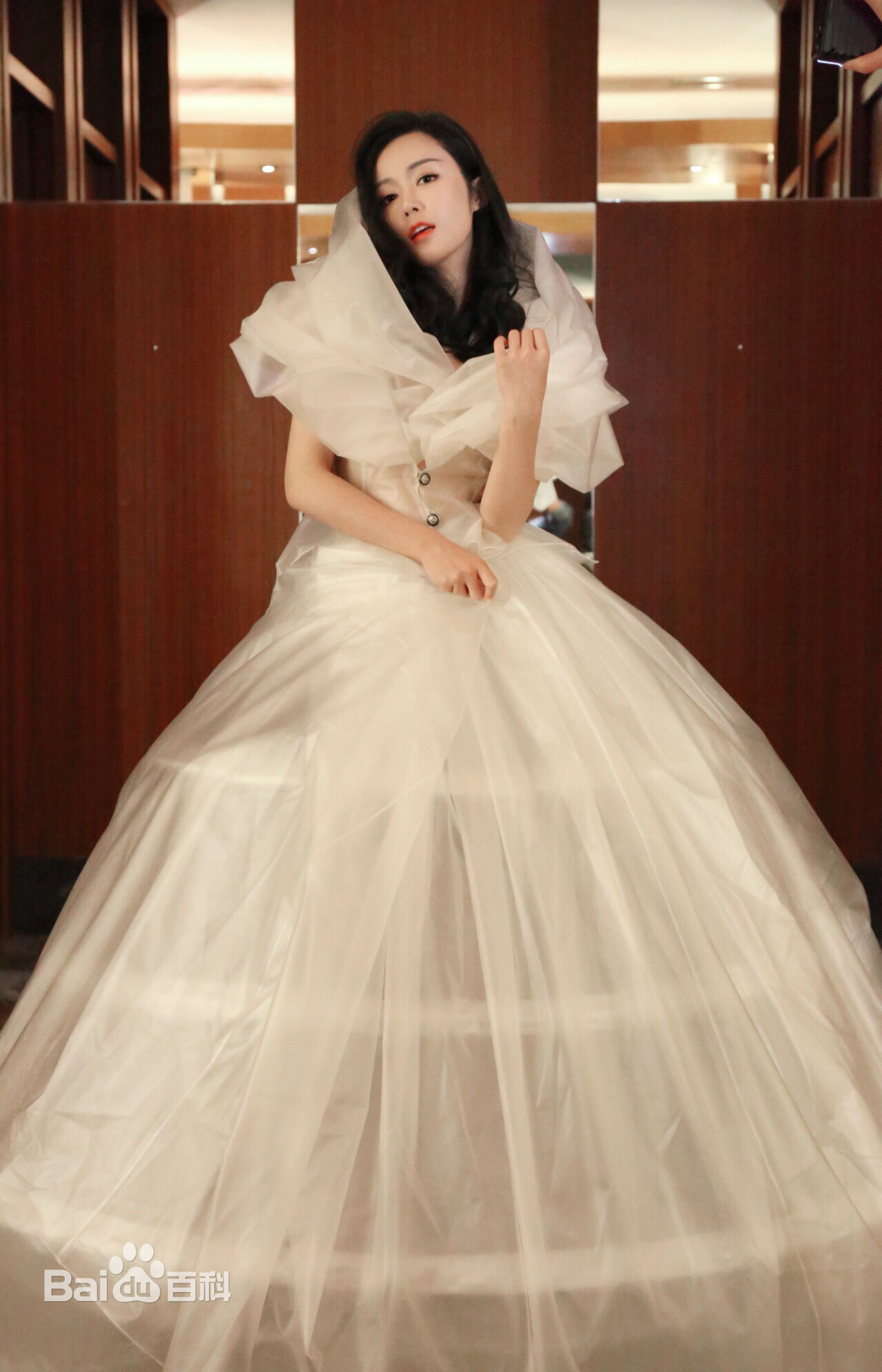 汤晶媚(Tang Jing Mei)上海电视节壁纸壁纸